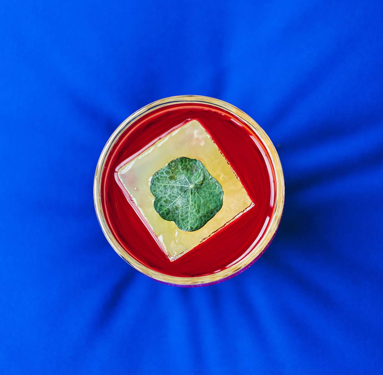 Design-ihlette koktélok a West Hollywood EDITION-ben!