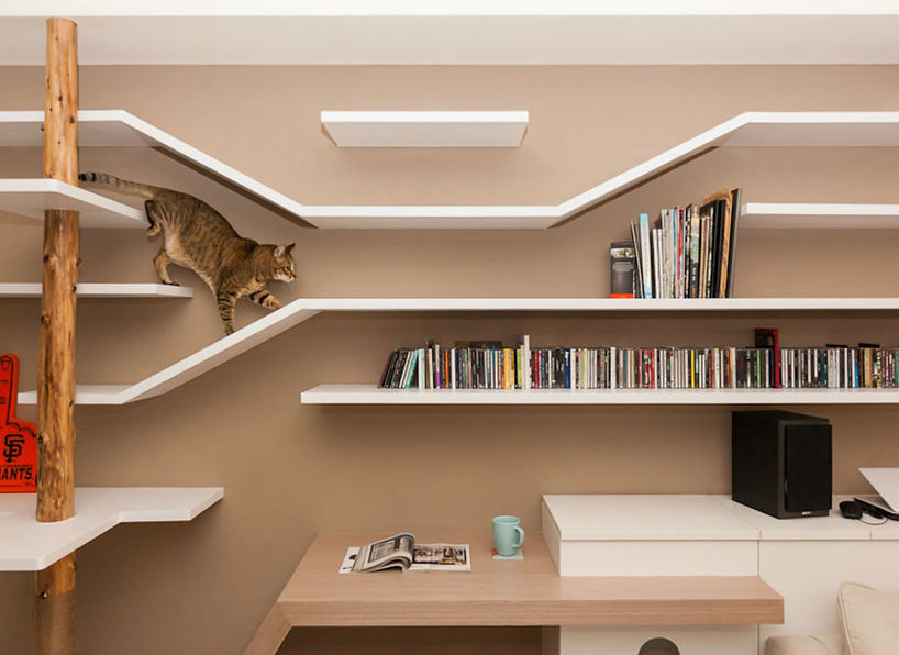 Kedvenc Központú Élet: 17 Stílusos és Kényelmes Pet Design Ötlet!