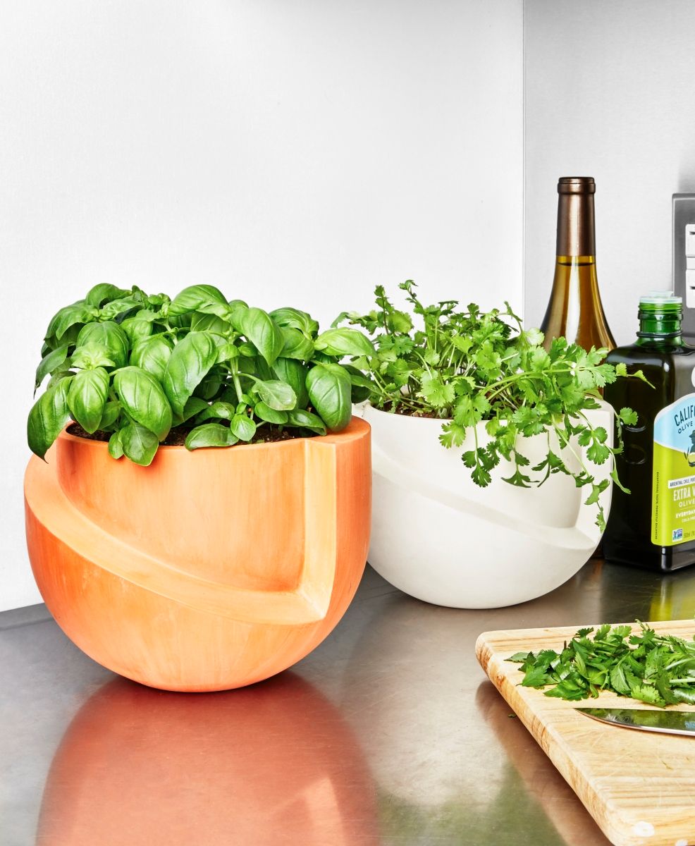 A Legjobb 14 Beltéri Virágtartó a Zöldebb Otthonért!