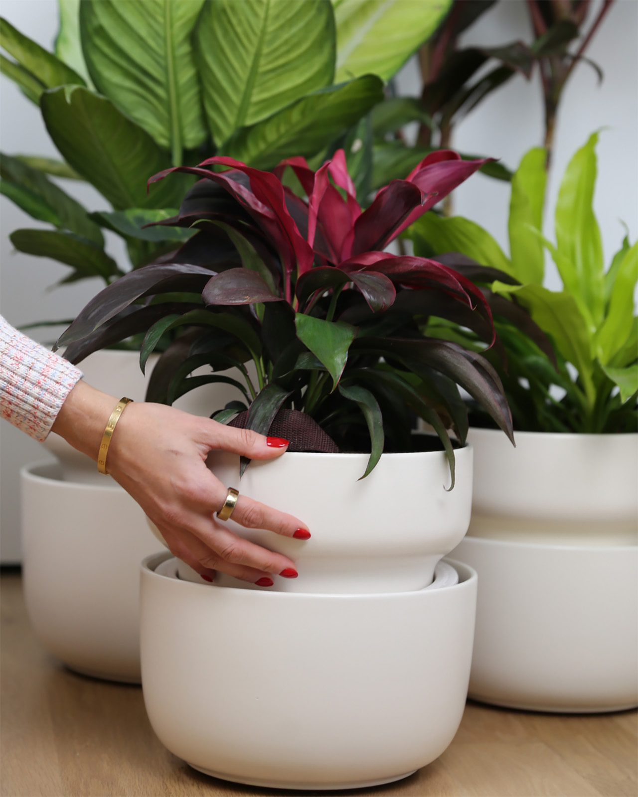 Növénygondozás nehezen megy? A Tendril segít!