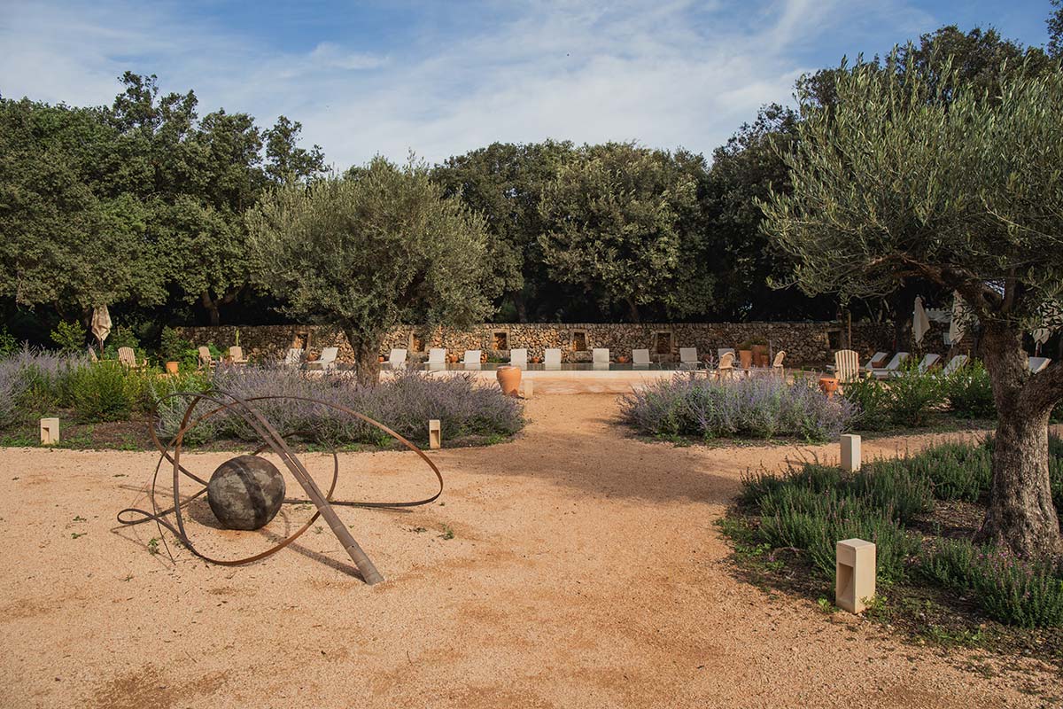 Szigetgyökerek: Fedezd fel a múlt titkait!