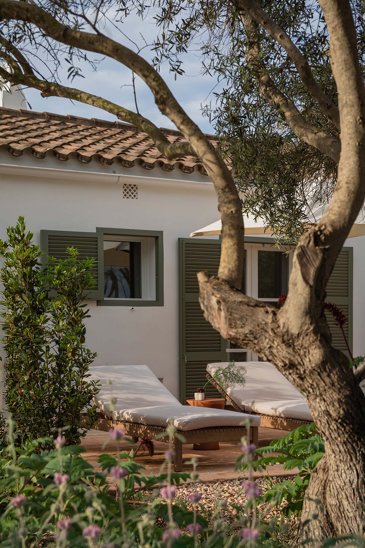 Szigetgyökerek: Fedezd fel a múlt titkait!