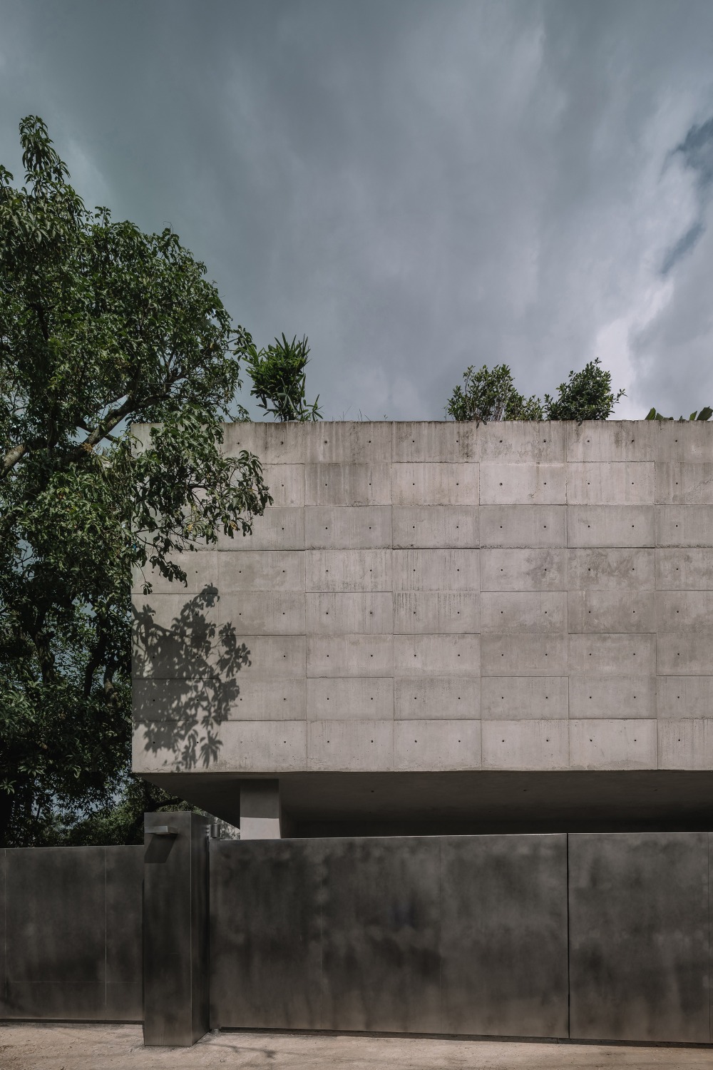 Természetes Élet: Ház, Ami Fákra Emelkedik!