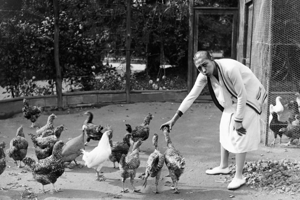 Josephine Baker otthon: 21 fénykép a legendás showlányról