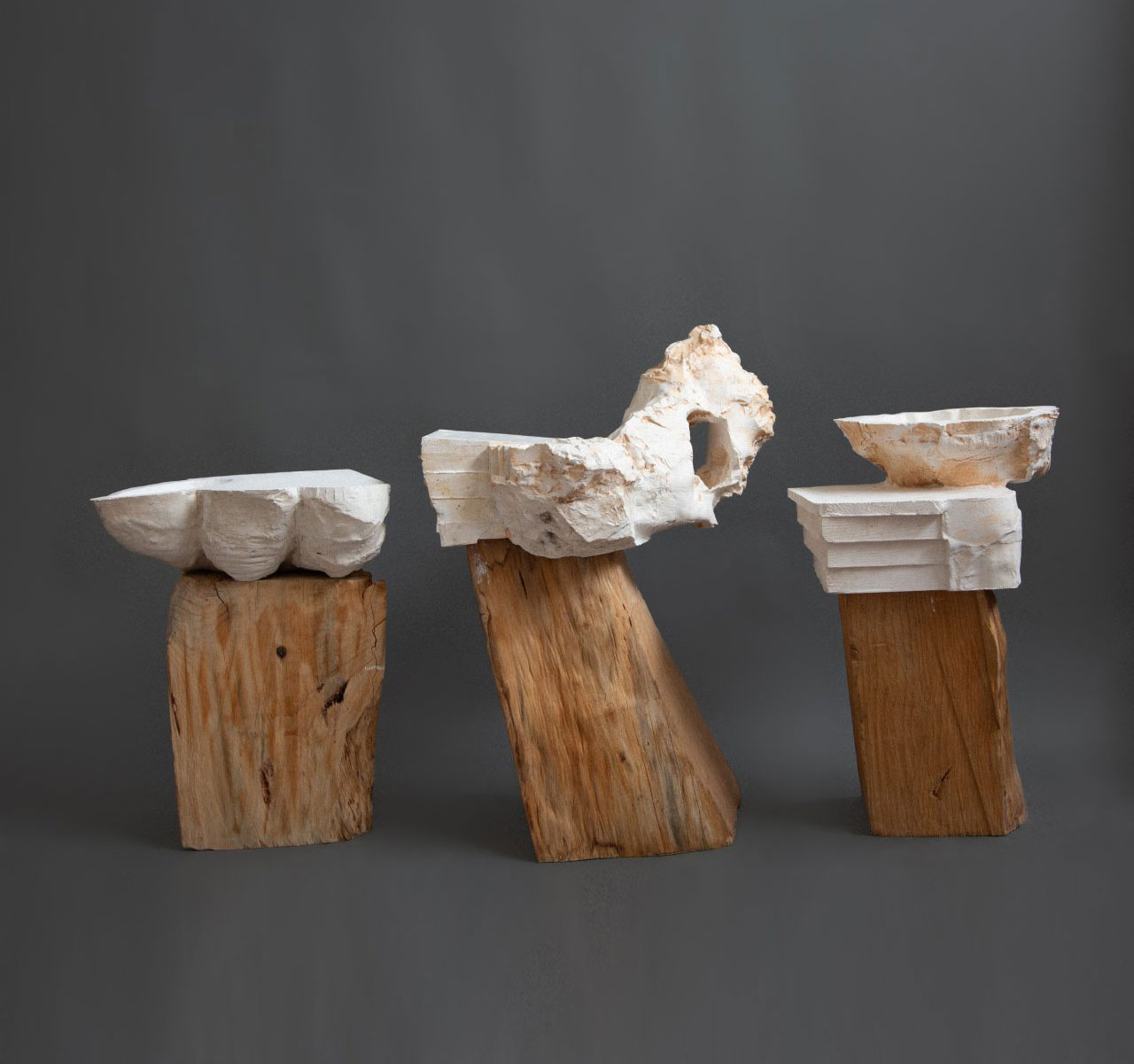 F5: Harel Dana – A szakácskönyvek művészetéről és ínycsiklandó falatokról!