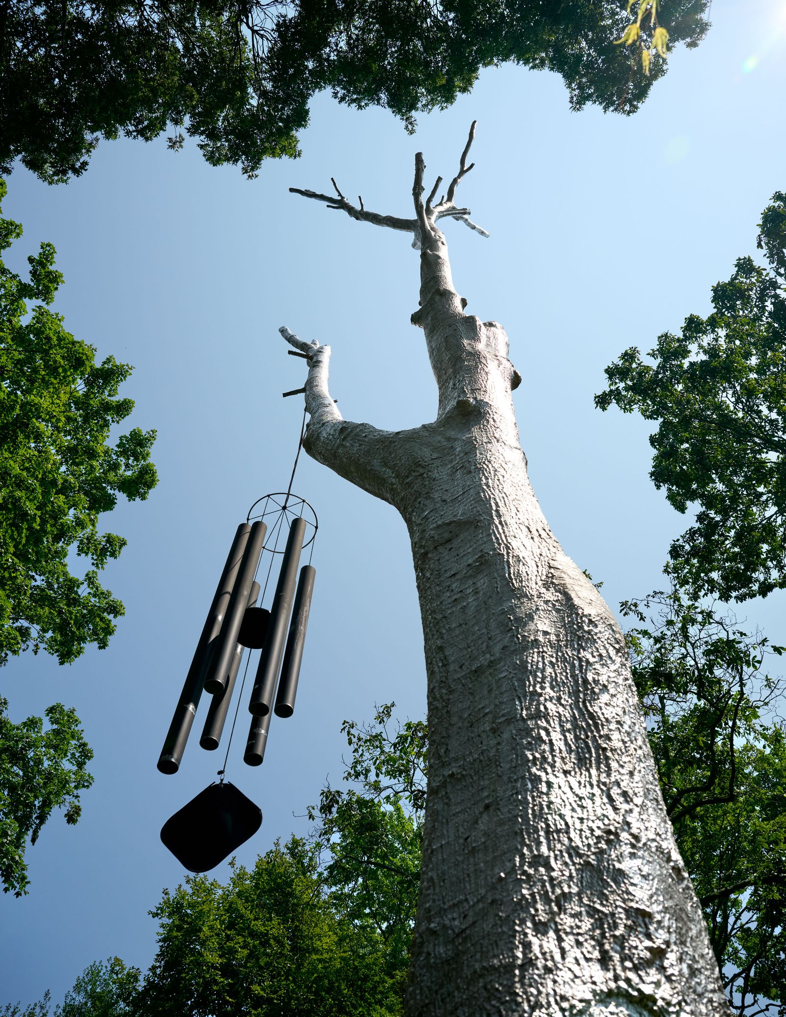 Mossal Borított Meditatív Táj: Rondinone és Schrader Művei