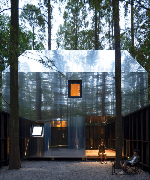 Fakitermelő házak rejtőznek a kínai metasequoia erdőben!