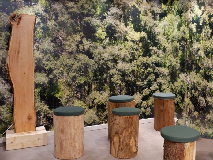 Foresta in Città: Trieste zöld szíve megújul!