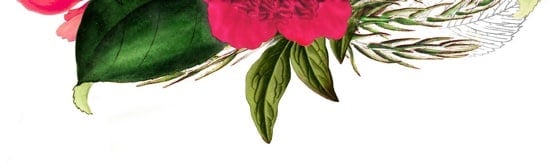 100 dolláros Facebook Marketplace bútor, ami végtelenül sokoldalú!