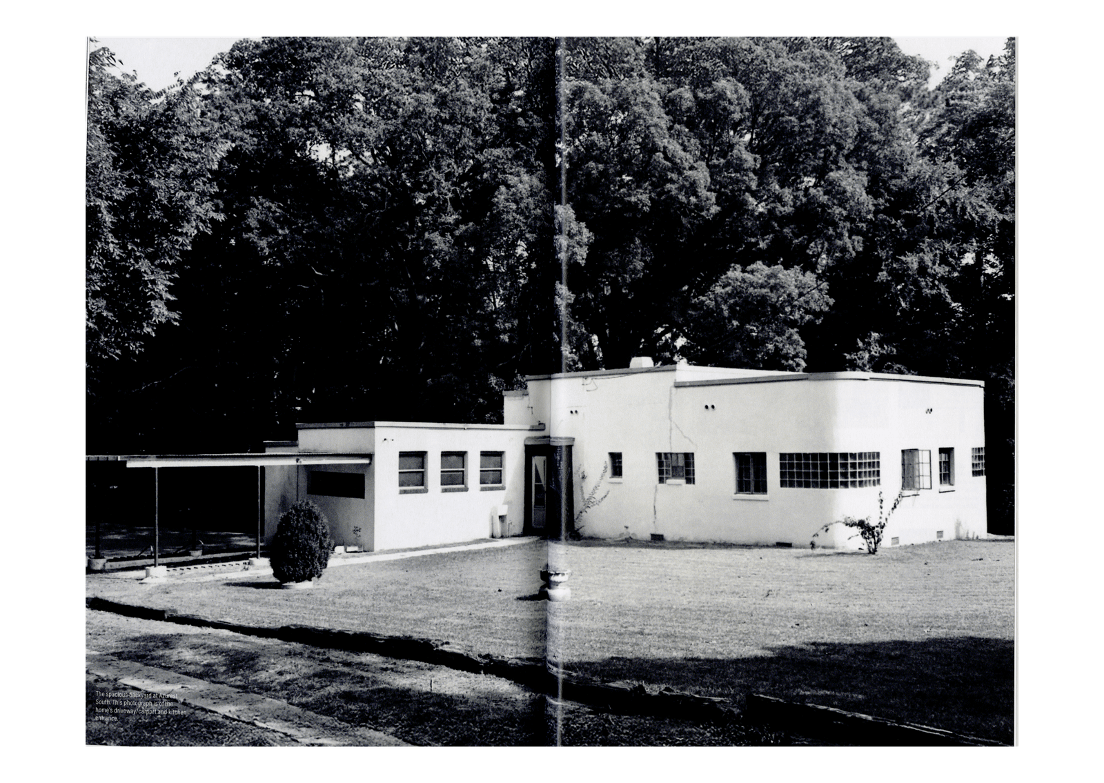 Amaza Lee Meredith: Solange és a Saint Heron könyve itt van!