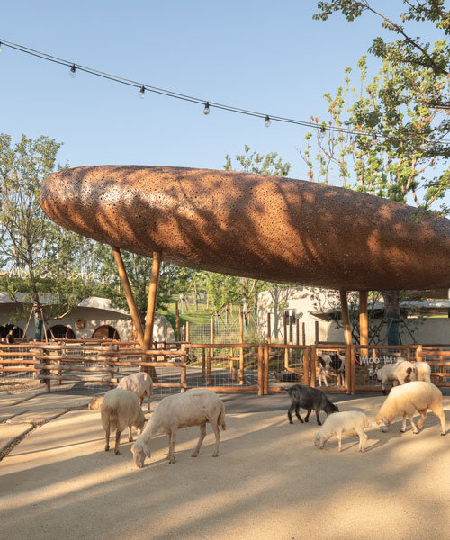 Bambuszfonott kupolák: Luxusfarm Wuhan szívében!