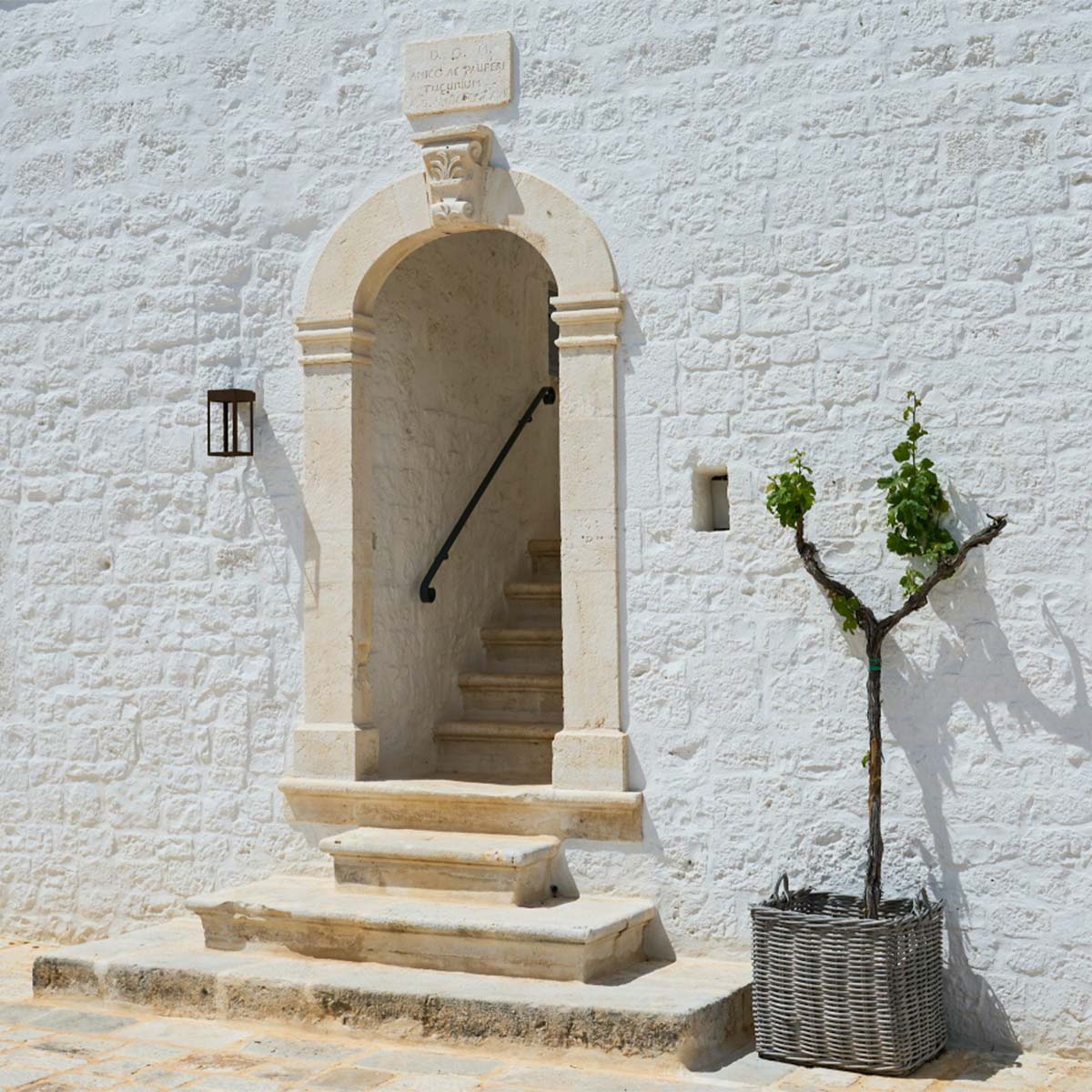 Az építész és a gazda: Két világ találkozása!