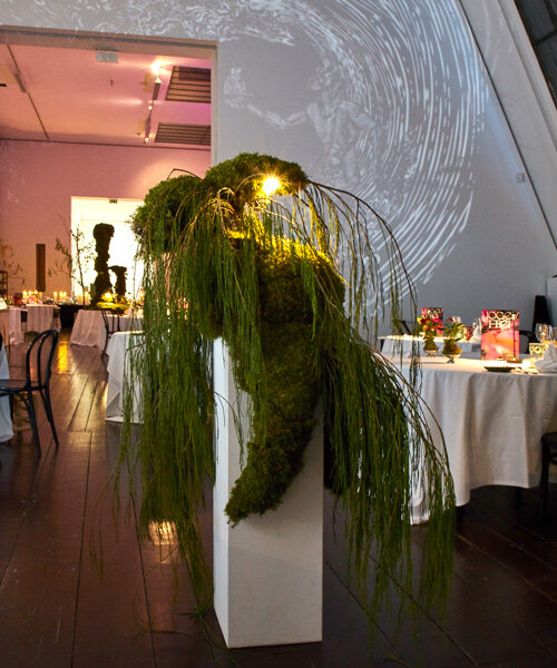 VOGELFREI: Taubenkobel kulináris élmény Bécsben!