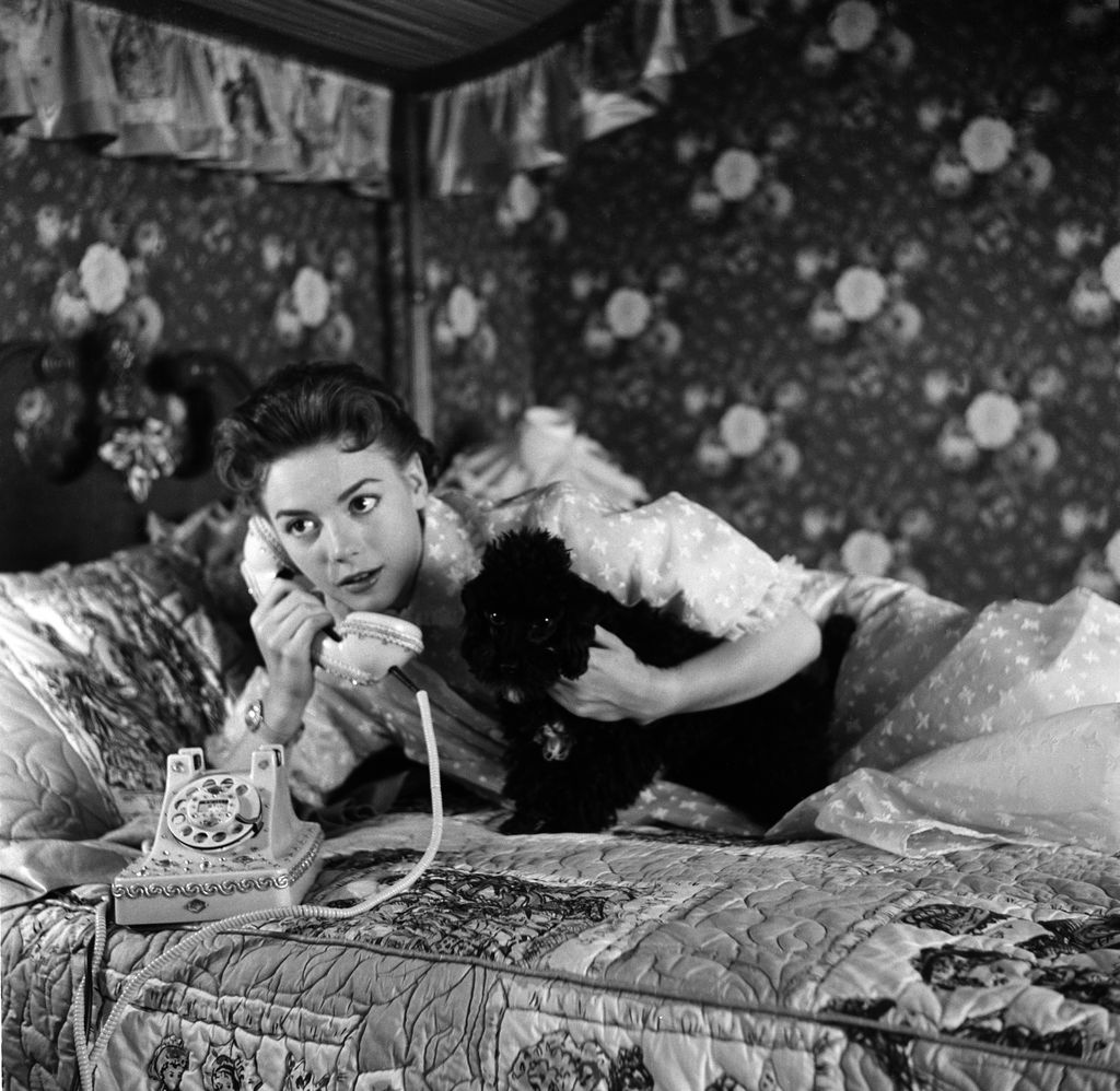 Natalie Wood: A filmcsillag otthoni élete 20 fényképen!