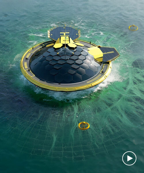 Algák, megújuló energia és édesvíz egy platformon!