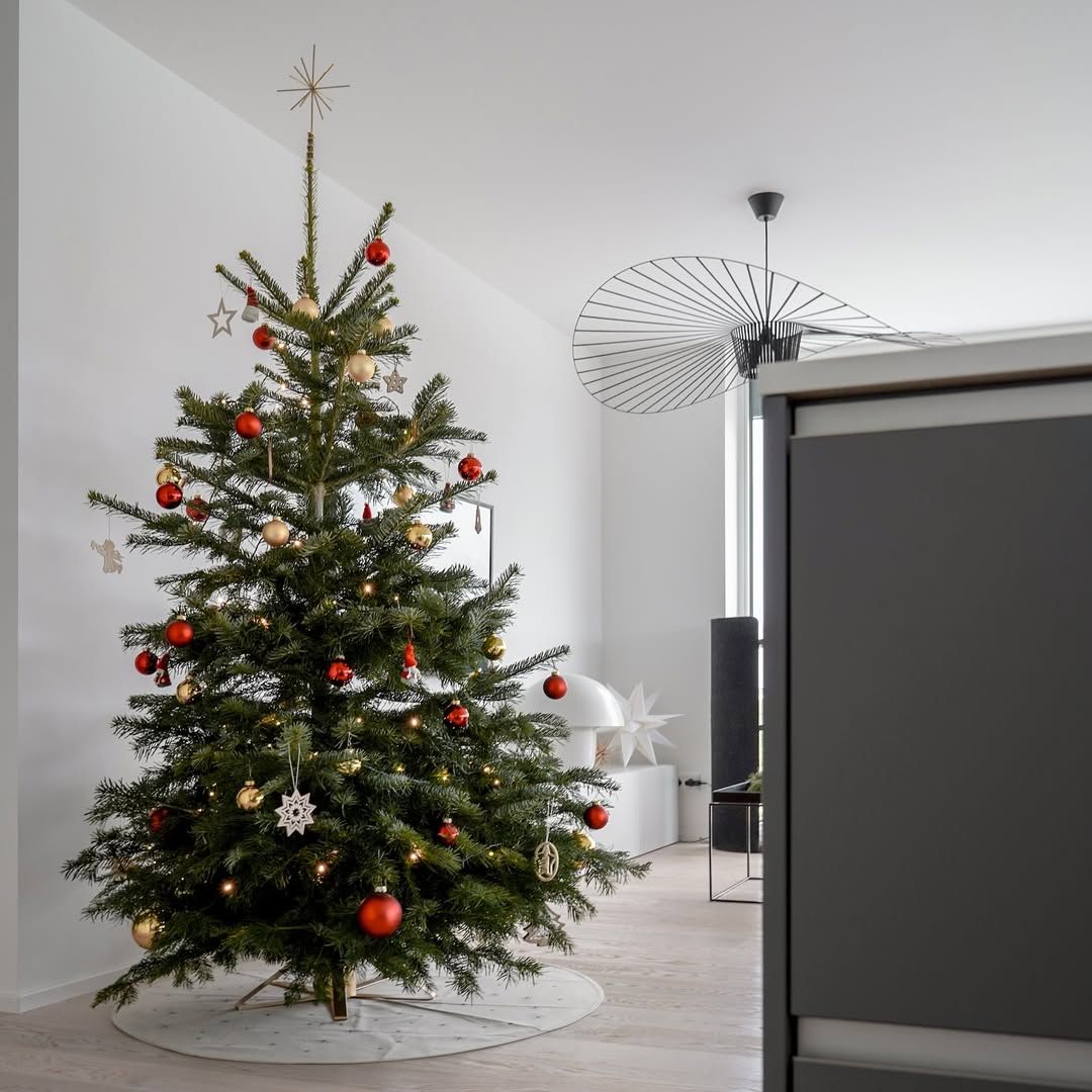 Mini Karácsonyfák: Ünnepi hangulat nagy fa nélkül!