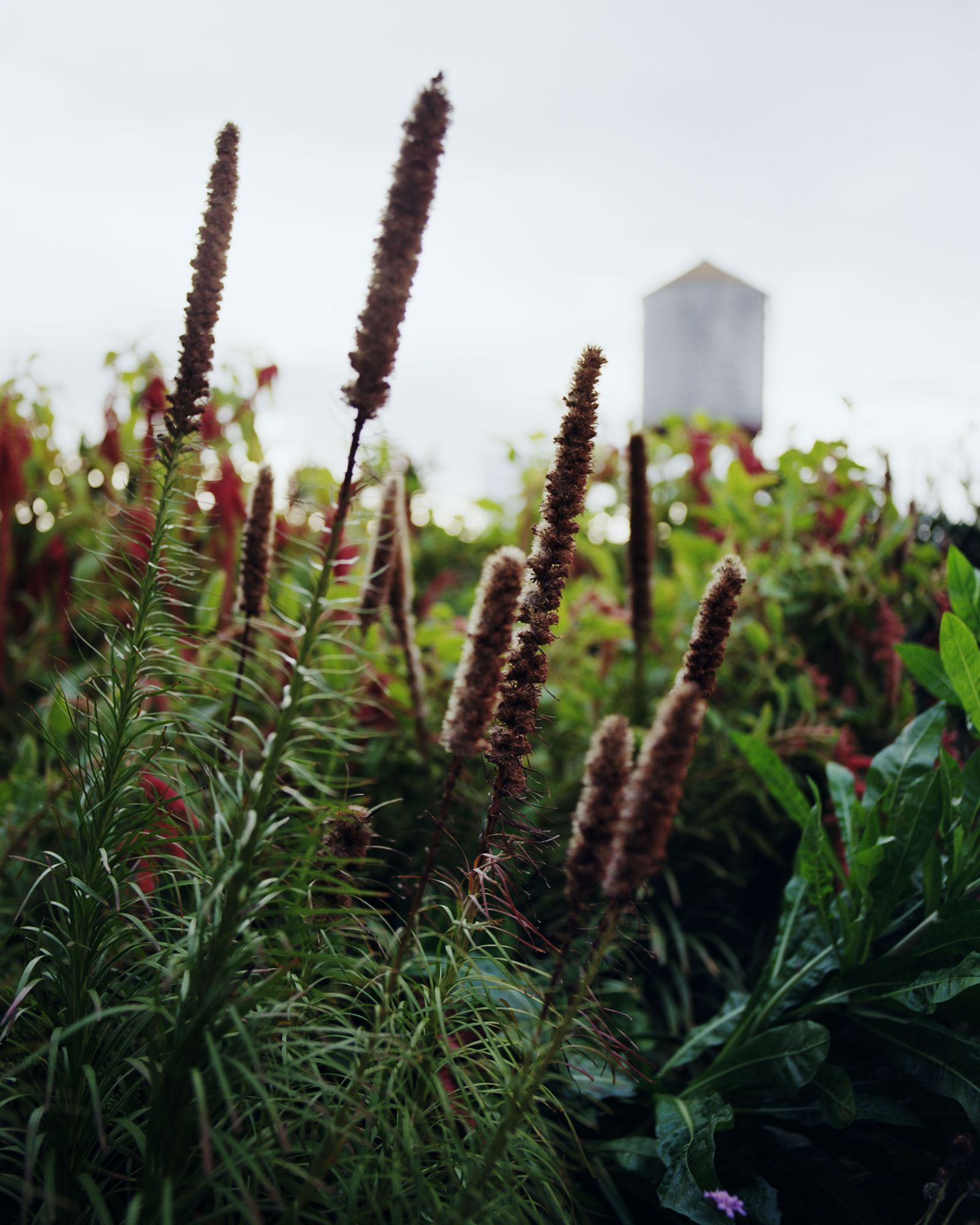 Harlem szelleme: Sara Zewde élő tisztelgése