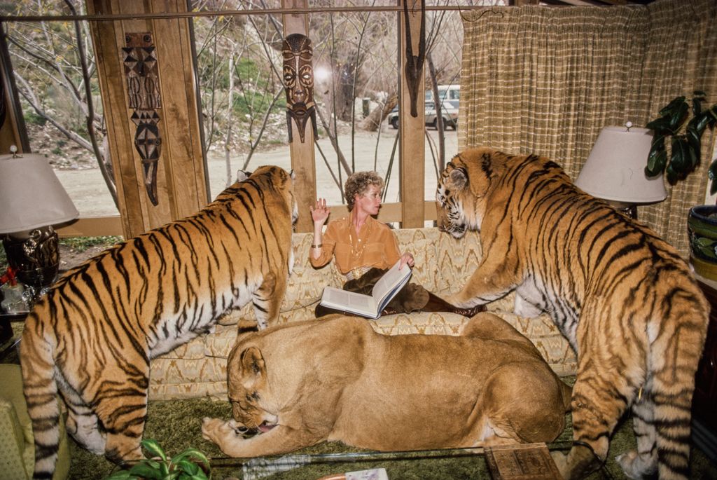 Tippi Hedren otthon: 15 vad fotó a macskamenedékből!