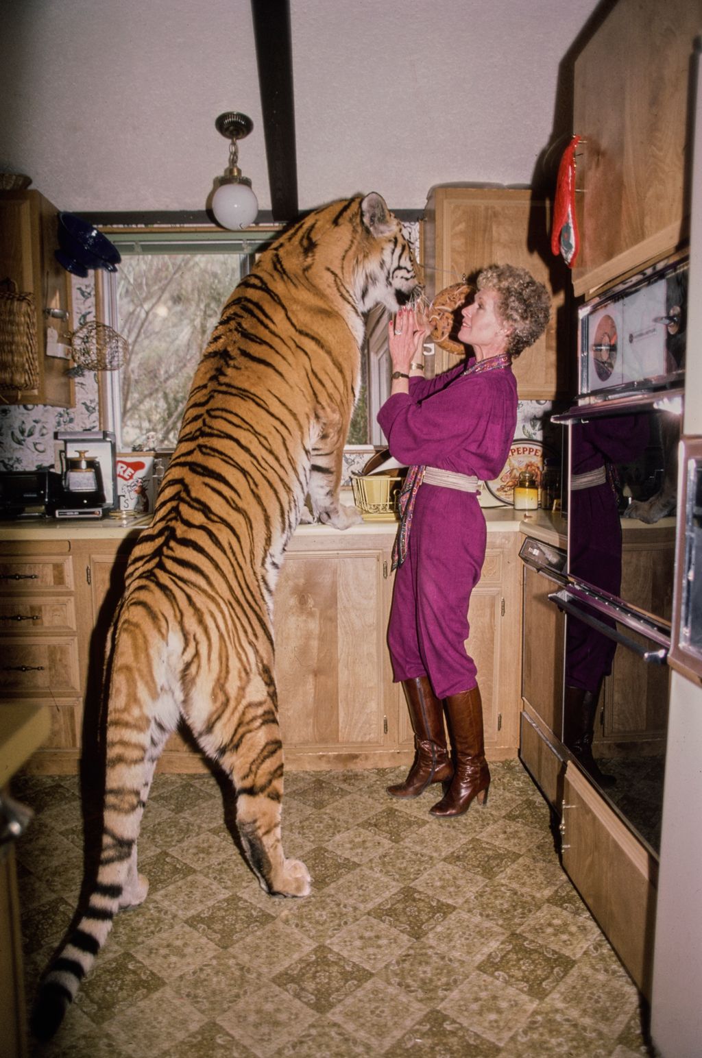 Tippi Hedren otthon: 15 vad fotó a macskamenedékből!