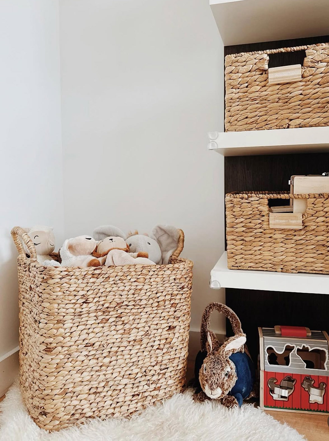 Pro Organizer: Megoldja szerkesztőink legbosszantóbb gondjait!