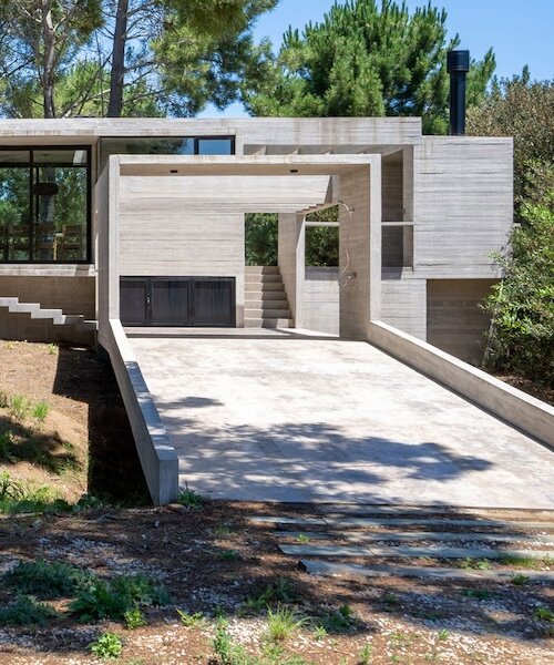 Erdei otthon: Besonías Almeida háza szervesen illeszkedik az argentin partvidék fái közé