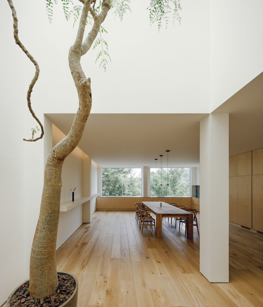 Élet a Fehér és Fa Rezidenciában: Fedezd fel!