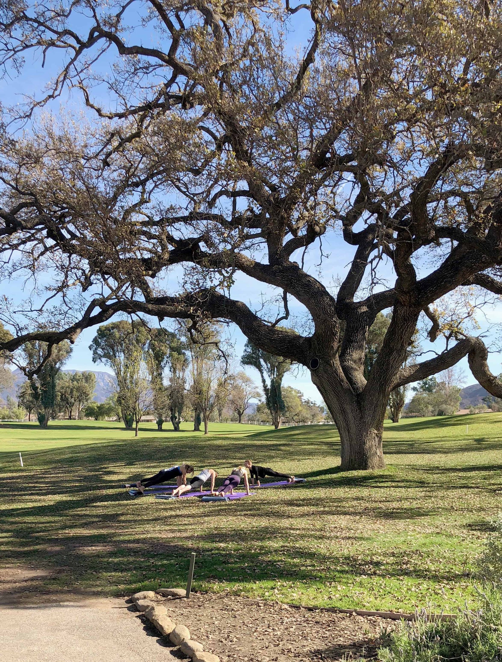 DIY Wellness Kikapcsolódás: Úti terv és Tippjeim!