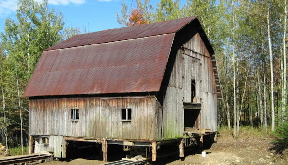 Penész? A takarítás nem a megoldás!