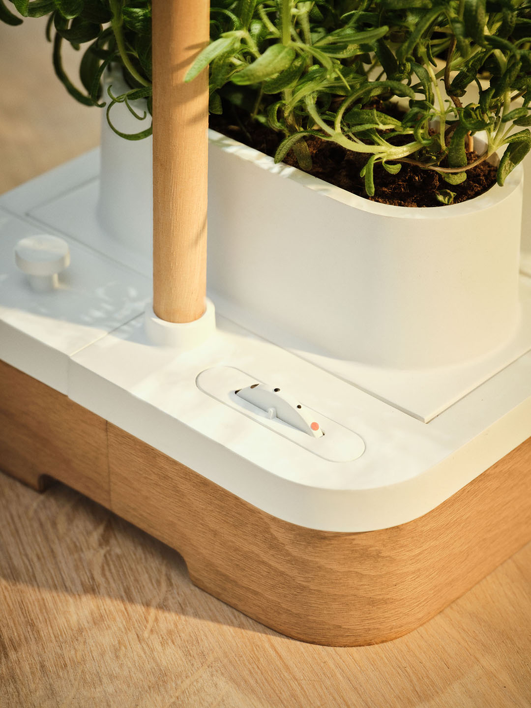 Skandináv fűszerkert: 4 hónap és zöldujj lettem!