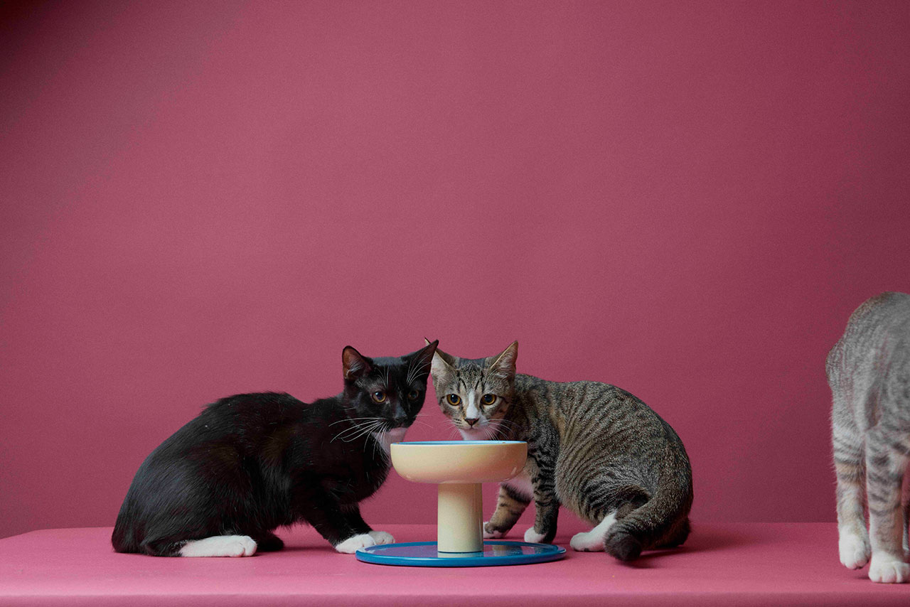 Új Smallserve Tálak a Smalls-tól: Tartsd tisztán!