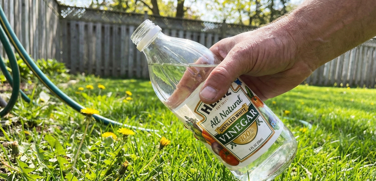 Csempe minták 2026-ban: 15 stílus, ami túlszárnyalja a hagyományt!