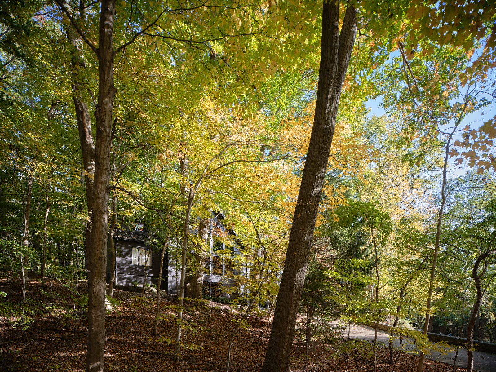 NFL-sztár Matt Milano-t megállította egy különleges ház!