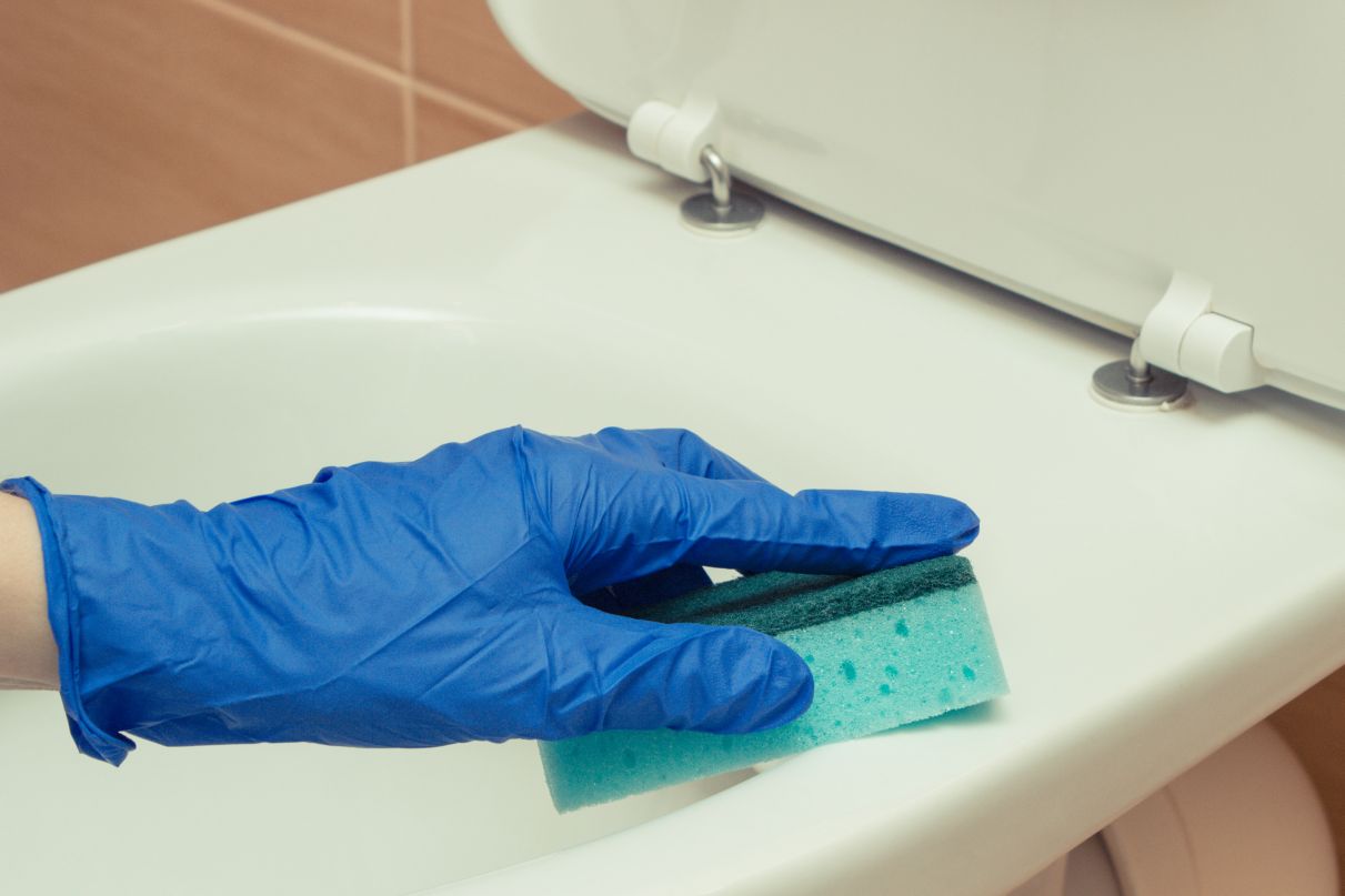 Szalma Tető Születik Üvegen: Kortárs Ukrán Vendégház