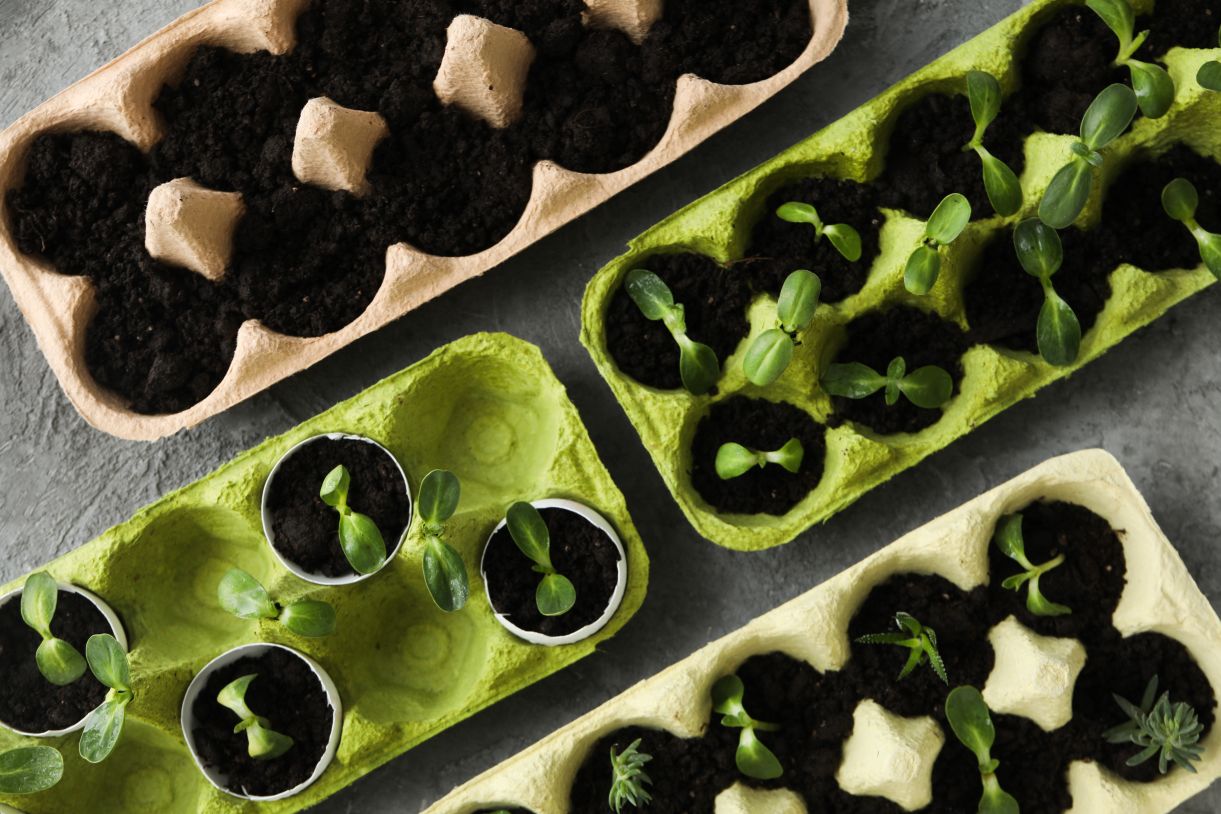 Fürdőszobai csempe ötletek 2026-ra: A metrócsempe már unalmas!