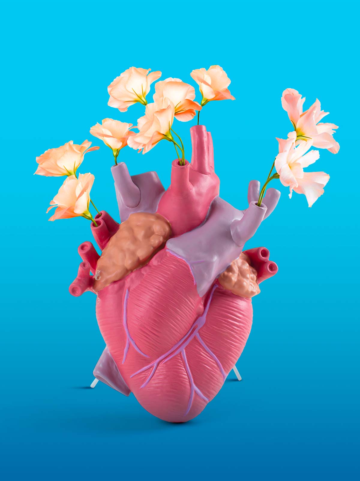 A dizájn anatómiája: Fedezd fel a titkokat!