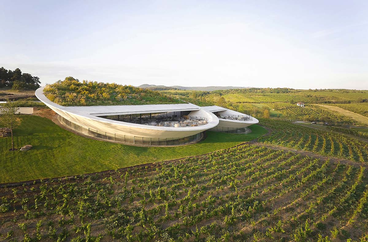 Új borászat a Tokaji UNESCO tájban!