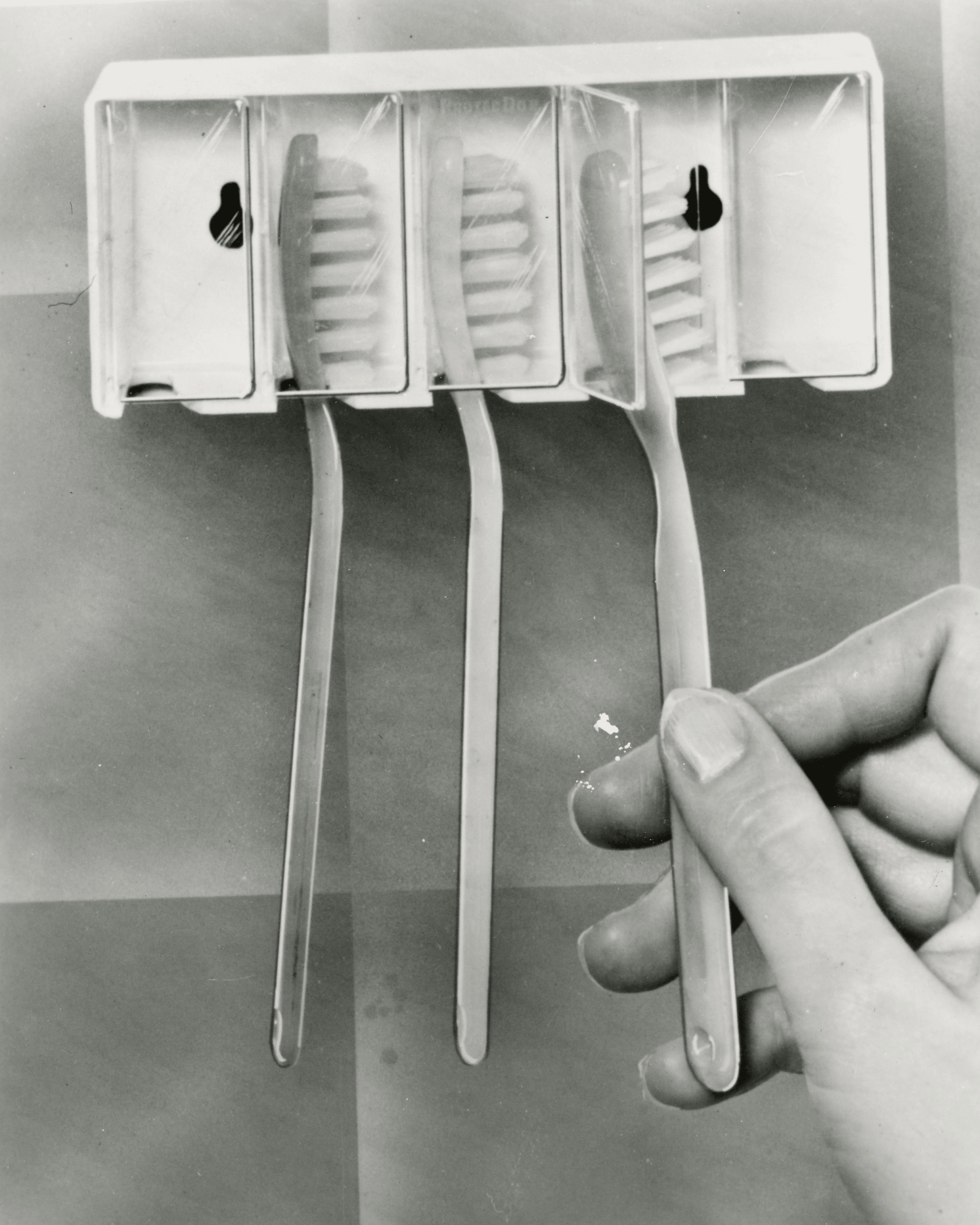 Fogkefetartók: 7 legjobb választás a fogkeféd védelmére!