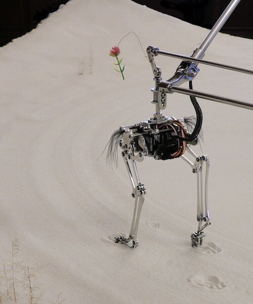 Robotmadár: Koreai művészek lábnyomot törölnek a társadalomról