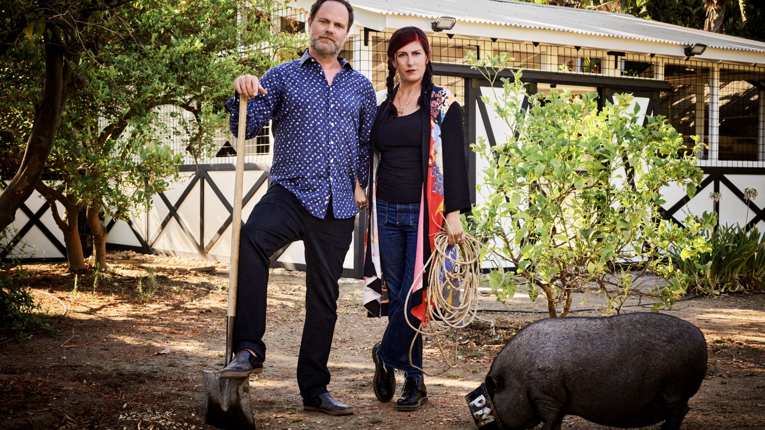 Állatbarát Nyitott Ajtók: AD Történetének Legjobbjai!