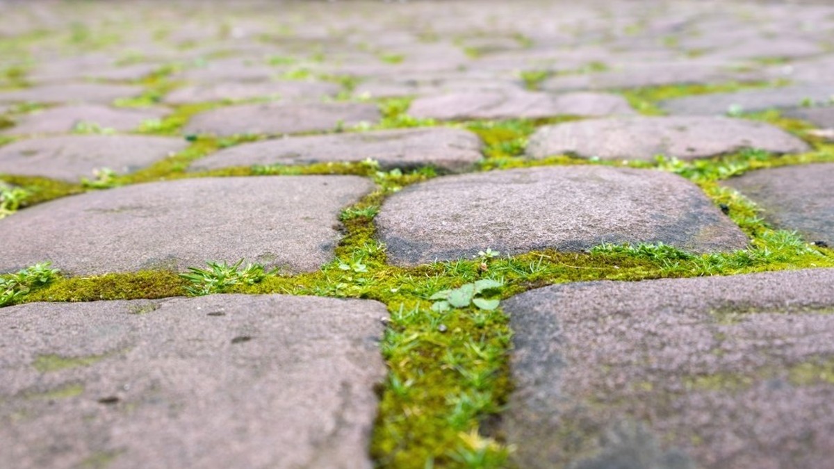 Kertlépcsők 2026-ra: Slope-ból rendezett tájképi elemek!