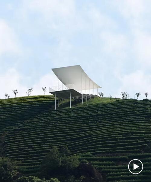 Floating pavilon: vékony fehér szárny a teahegy felett