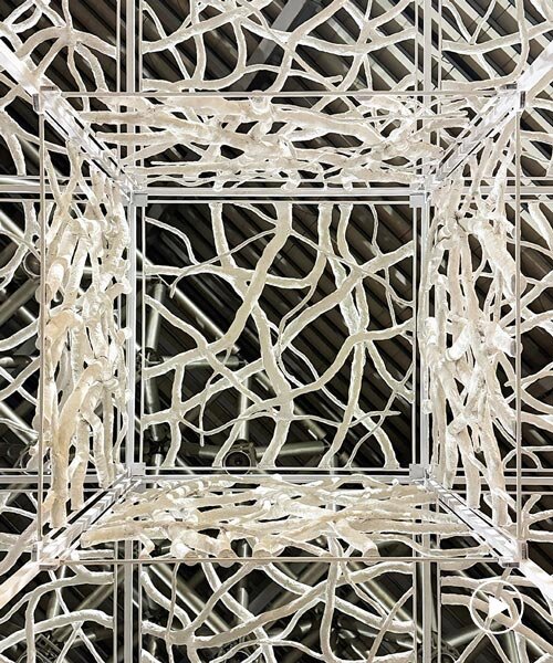 Újrahasznosított papír: élő térinstalláció ágyszerű rácsban!