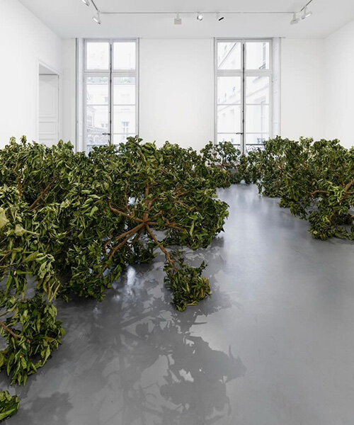 Lemonfákból nőtt élő kozmosz Paola Pivi párizsi tárlatán!