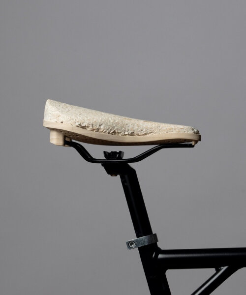 Komposztálható bicikliülés: gomba mycelium burjánzik a fán