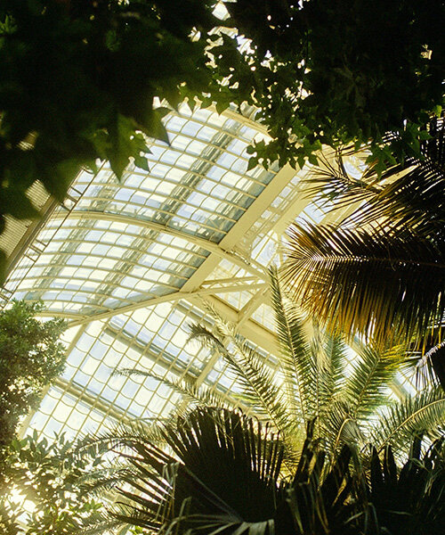 Palmenhaus: David Altrath analóg fényképei Bécsben!