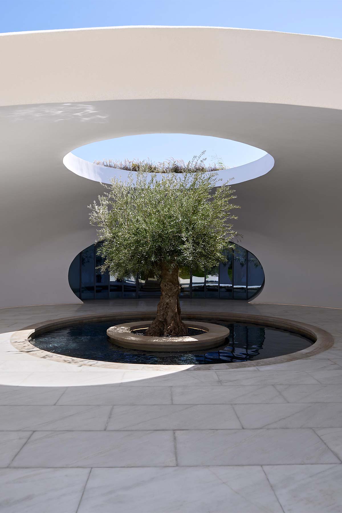 Biophilia és futurizmus: a jövő harmóniája!