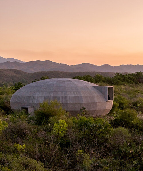 OMA elkészítette a gombák és művészek pavilonját!