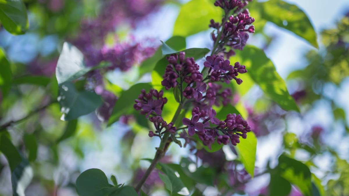 Fluted Design: 15 Trend 2026-os Ötlet a Mélységért!