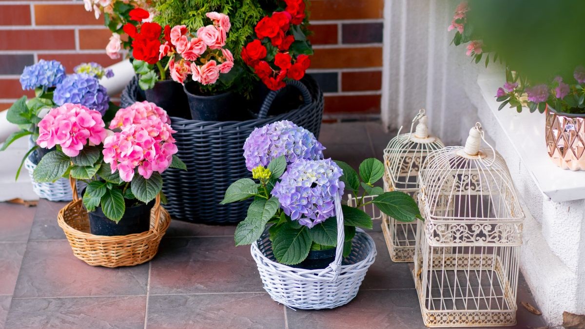 Rejtett helyek, amik piszkosnak tüntetik fel otthonod!