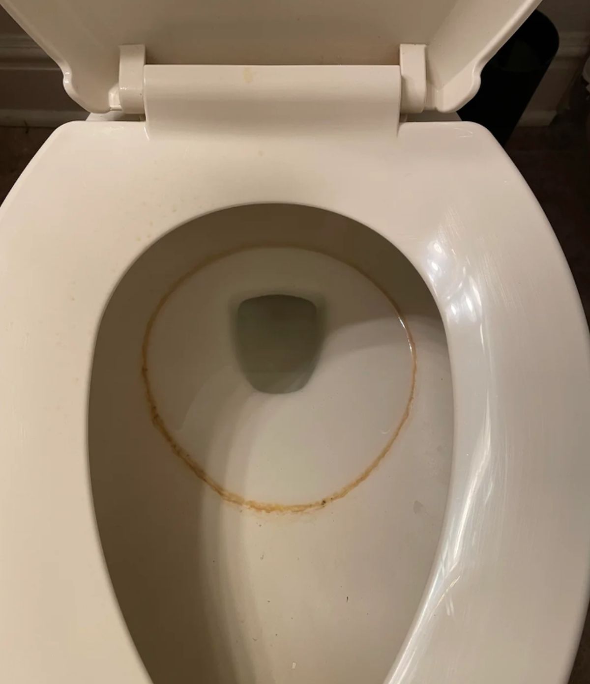 Konyhai titok: Amit a kutyások elfelejtenek megtervezni!